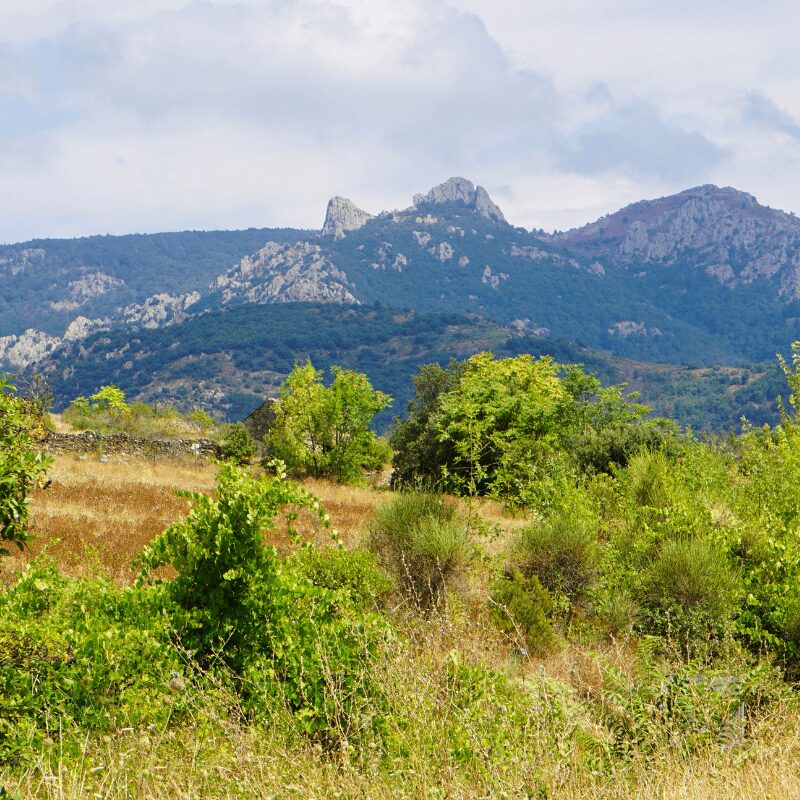 Vue paysage Hérault